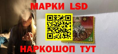 шишки Будённовск