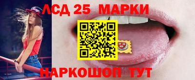 шишки Будённовск