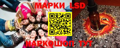 шишки Будённовск