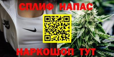 шишки Будённовск