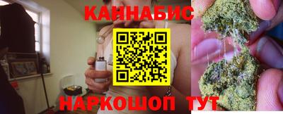шишки Будённовск