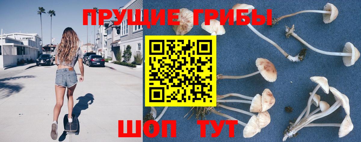 Соликамск  Галлюциногенные грибы MAGIC MUSHROOMS  Псилоцибиновые грибы ЛСД  Вход с VPN 